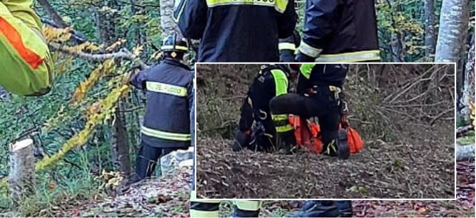 Perde il controllo della moto e rovina al suolo finendo tra la vegetazione nel bosco